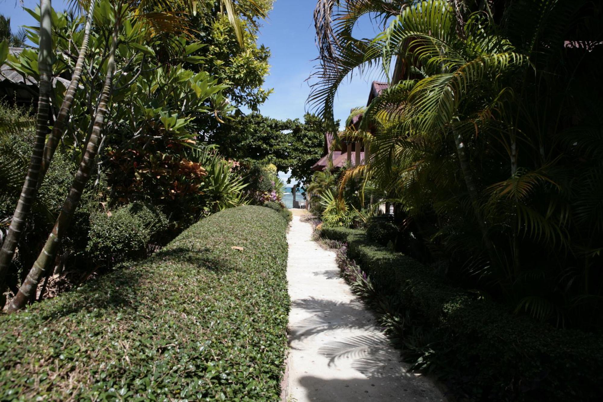 Jungle Hut Bungalows & Hotel Haad Chao Phao Exterior photo