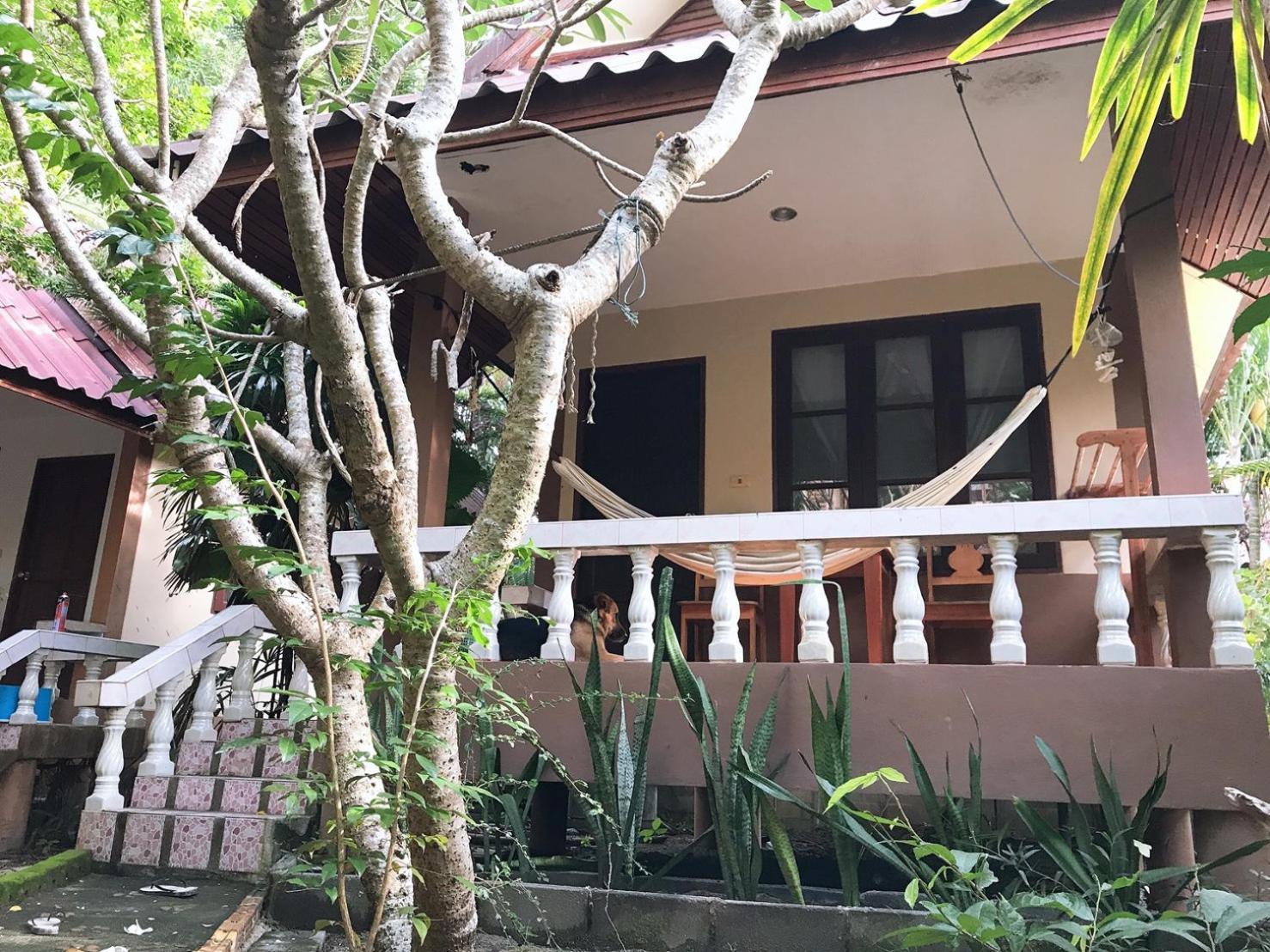 Jungle Hut Bungalows & Hotel Haad Chao Phao Room photo