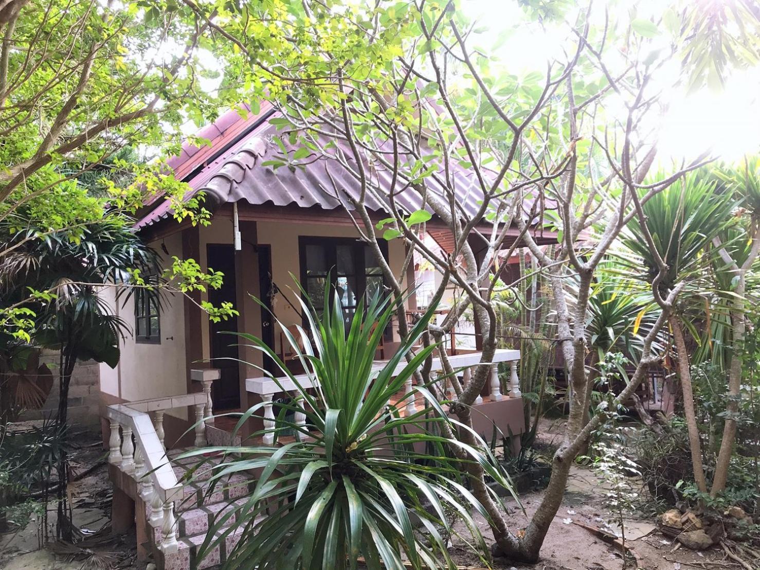 Jungle Hut Bungalows & Hotel Haad Chao Phao Room photo