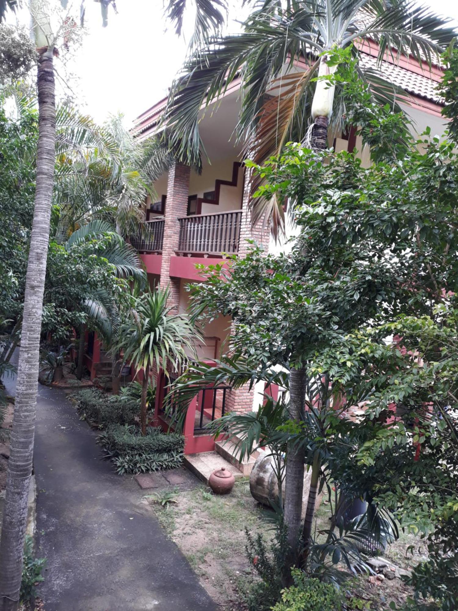 Jungle Hut Bungalows & Hotel Haad Chao Phao Room photo